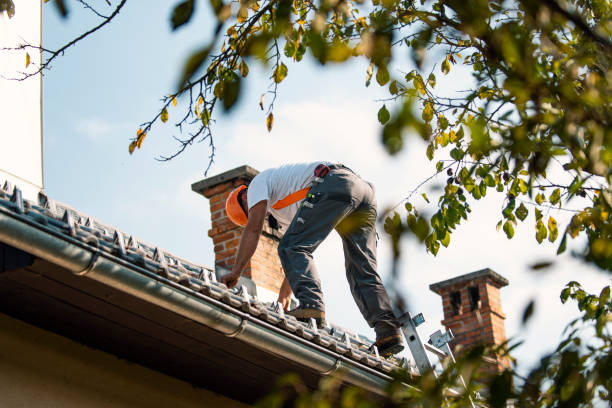 Best New Roof Installation  in Shell Lake, WI