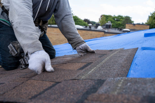 Best Gutter Installation and Roofing  in Shell Lake, WI